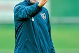 thumbnail: Roy Keane in action as Ireland coach