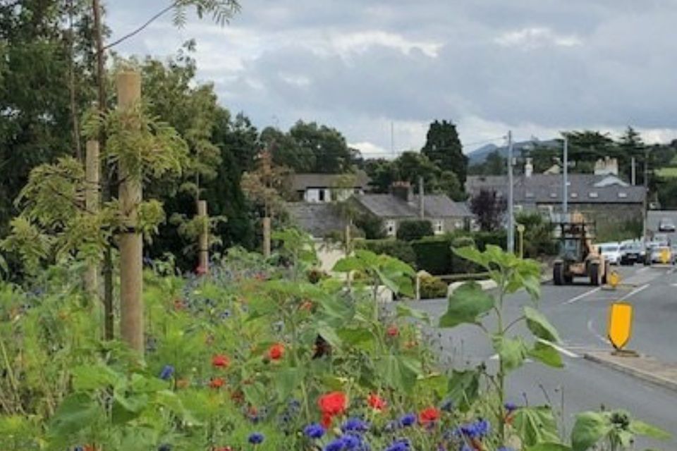 Planting carried out in Newcastle