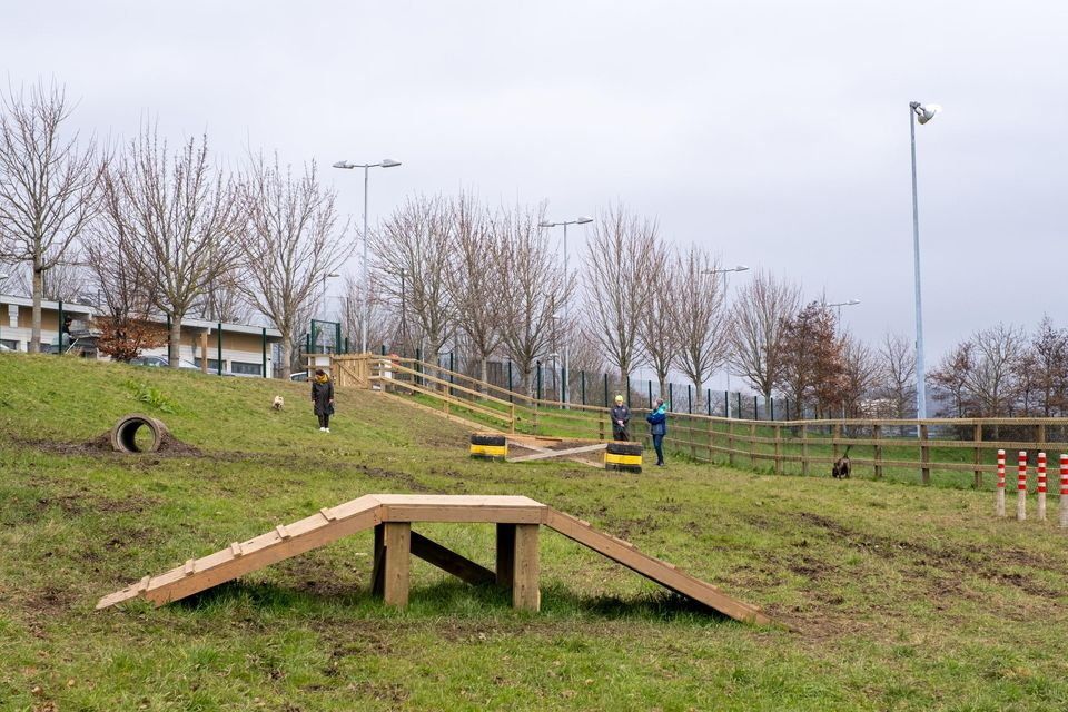A committee has been formed in Drogheda to provide a dog park possibly similar to this one in Greystones, Co Wicklow.