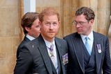 thumbnail: ‘I was staring at a strange creature through the bars of its cage’: Martina Devlin on reading Spare by Prince Harry