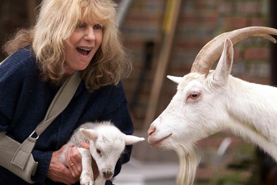 Carla lane animal rescue 2024 centre