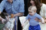 thumbnail: April 2014: Catherine, Duchess of Cambridge holds Prince George of Cambridge as Prince William, Duke of Cambridge look whilst meeting a Bilby called George at Taronga Zoo