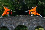 thumbnail: Shaolin Masters at Monart