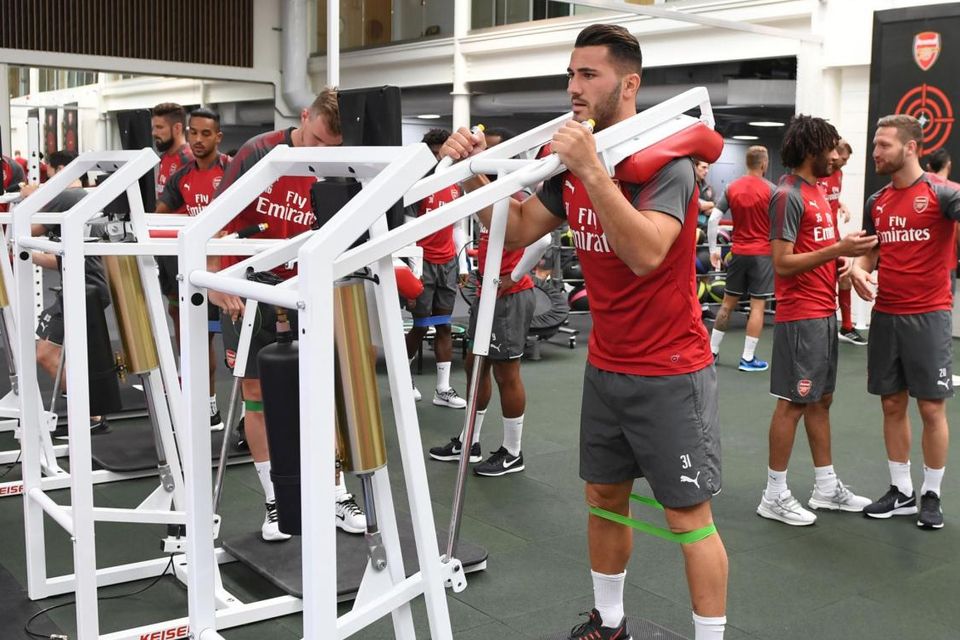 Theo Walcott says 'absolute animal' Sead Kolasinac's gym work has been the  talk of the Arsenal dressing room | Irish Independent