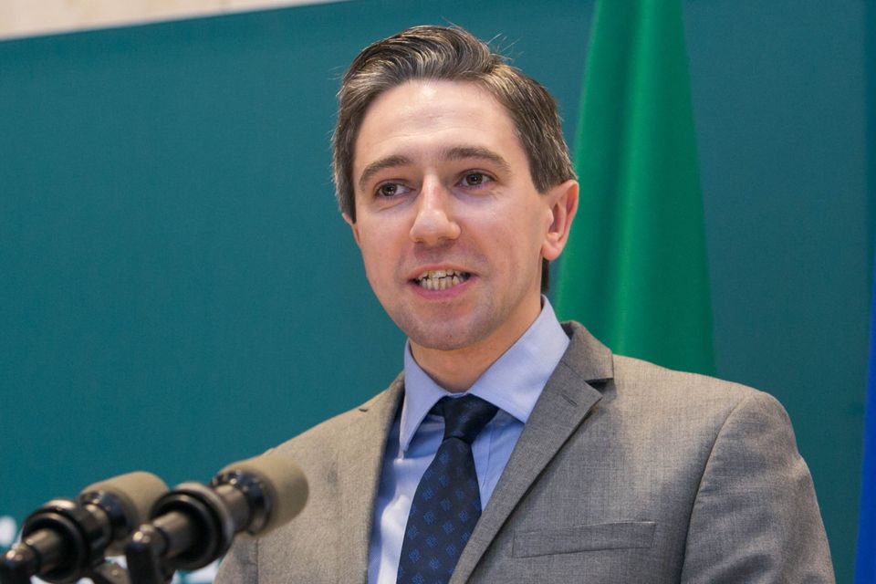 Meetings: Simon Harris plans to roll our services from January