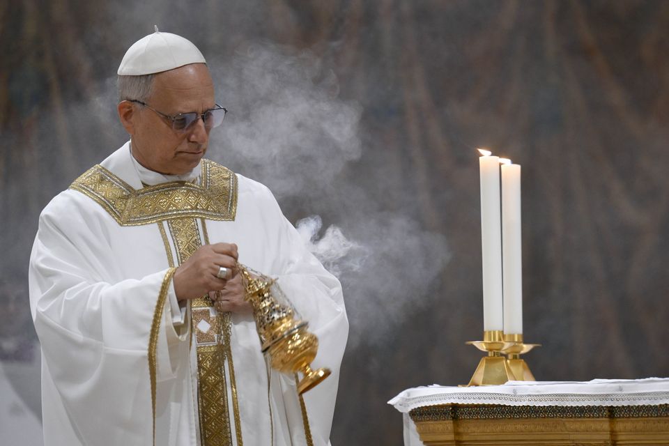 Pope Leo XVI has the right skillset and experience for the job of pontiff, a UK cardinal has said (Vatican Media via AP)