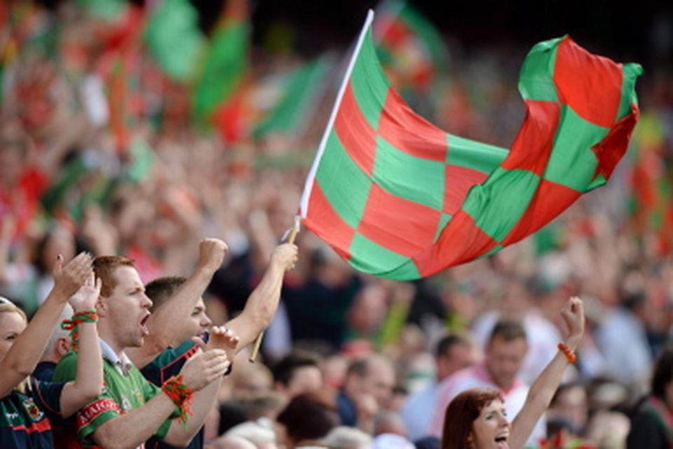 Mayo supporters in the Cusack Stand, celebrate after the Mayo goal was scored.