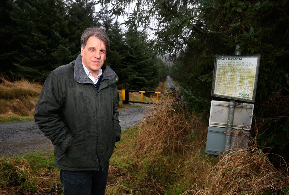 Journalist Kim Bielenberg at the entrance to Ballinascorney Wood Picture: Damien Eagers
