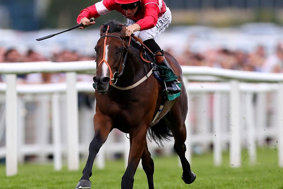 Tiggy Wiggy is a shoe in for this afternoon's Connolly's Red Mill Chevely Stakes at Newbury.  Ben Hoskins/Getty Images