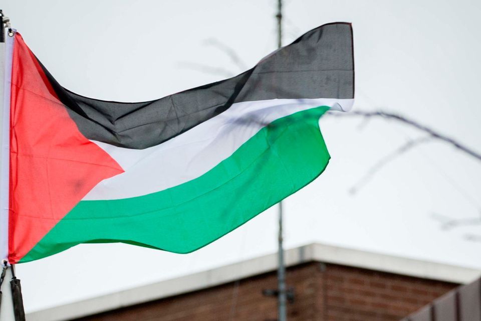 The Palestinian flag will be flown by Dublin City Council this week. Photo: James Connolly.