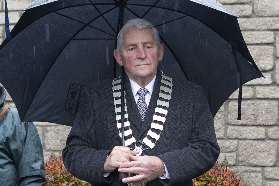 Cllr Pat Vance Cathaoirleach of Wicklow County Council, who laid a wreath at the Armistice day of remembrance in Bray today
Picture by Fergal Phillips.
