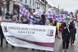 thumbnail: Shillelagh Coolboy GAA Club during the St Patrick's Day parade in Carnew.