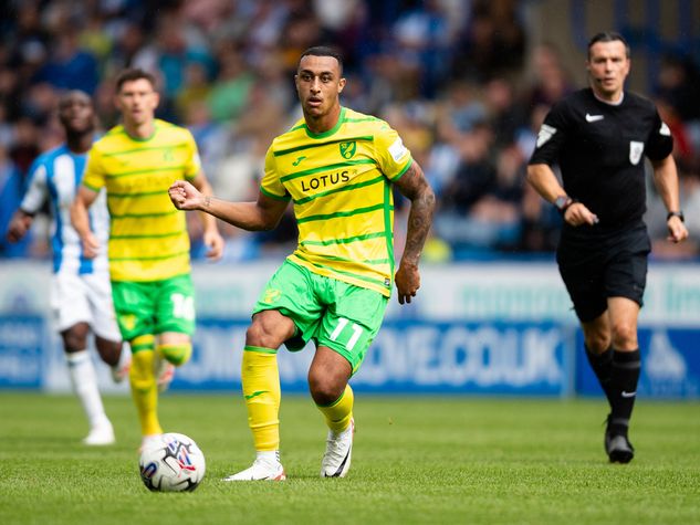 Adam is in very good shape' – Norwich boss hails in-form Irish striker Idah  | Independent.ie