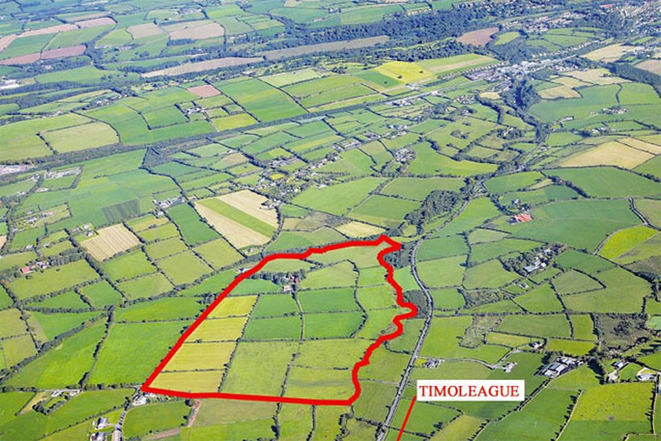 €825k fails to land 91ac Bandon farm Irish Independent