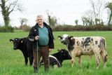 thumbnail: John Bateman from Croom, Co Limerick, whose farm has been hit by TB in the past. Photos: Don Moloney