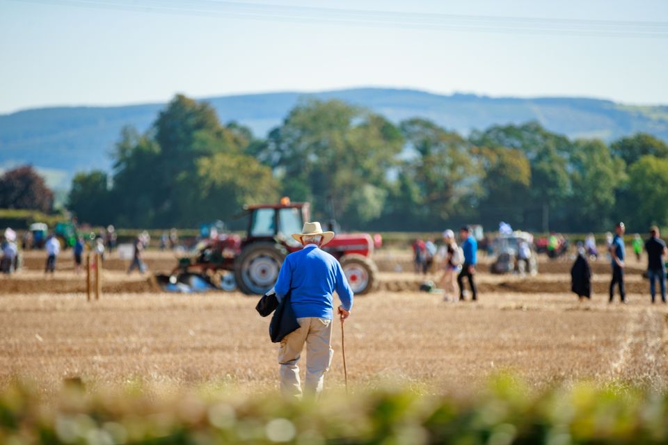 Ploughing on day two of  the National Ploughing Championships in Ratheniska. Pic: Mark Condren