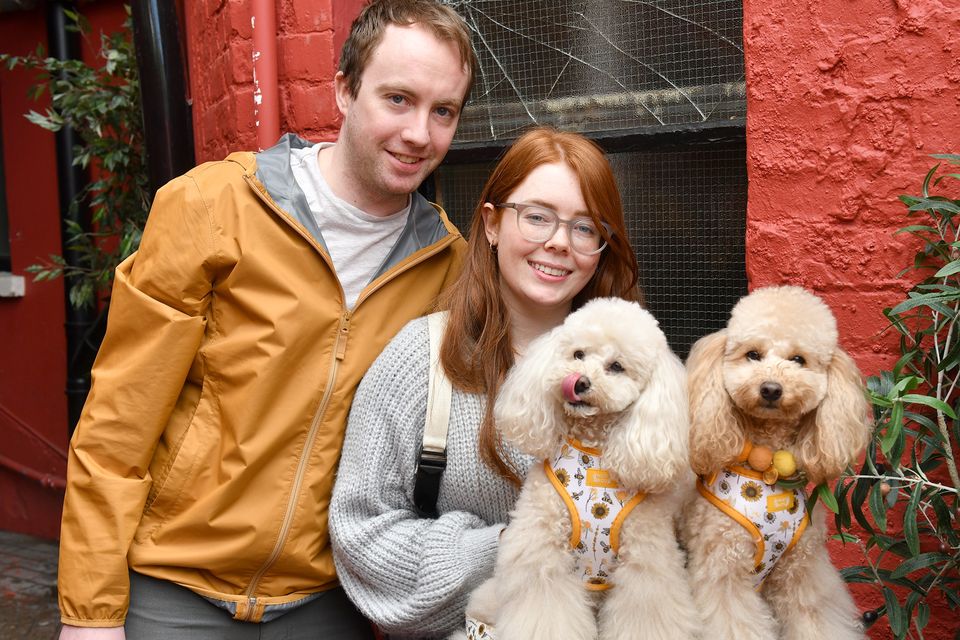 Steven and Michaela Floody with 'Monty' and 'Moon' at the Dog Friendly Coffee Morning in aid of Dundalk Gog Rescue held in Mo Chara. Photo: Ken Finegan/www.newspics.ie