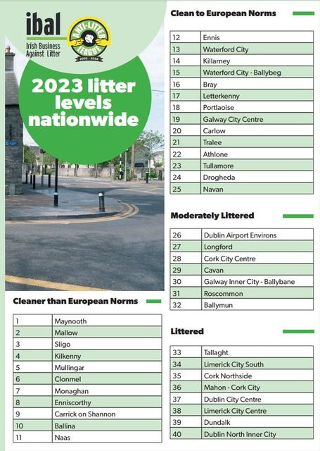 Enniscorthy ranked 8th cleanest town in Ireland