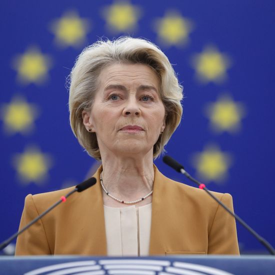 Ursula von der Leyen seeking second term as head of EU ...