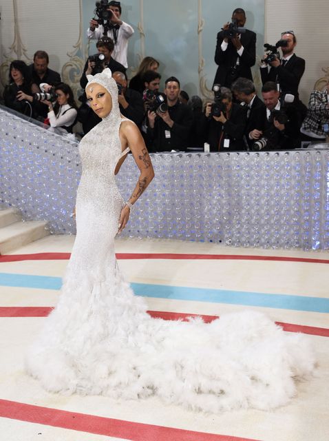 Doja Cat poses at the Met Gala, an annual fundraising gala held for the benefit of the Metropolitan Museum of Art's Costume Institute with this year's theme "Karl Lagerfeld: A Line of Beauty", in New York City, New York, U.S., May 1, 2023. REUTERS/Andrew Kelly