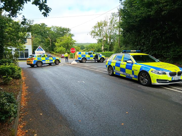 Man arrested amid tense scenes in Tipperary as first group of asylum seekers arrive at Dundrum House Hotel