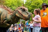 thumbnail: Dinosaurs take over at Sky Park, Co. Louth