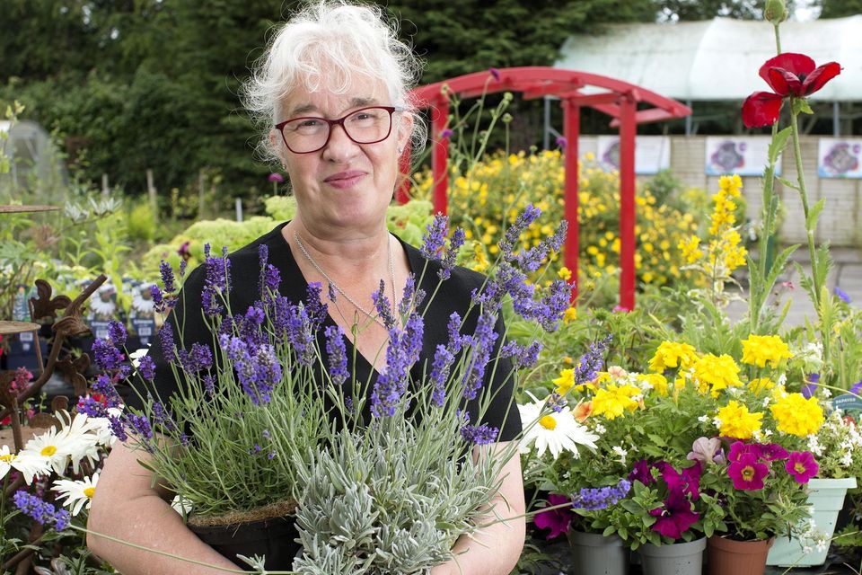 Laura Shaw, of the Longford Garden Centre, with some of her plants. Photo: Tony Gavin