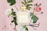 thumbnail: Rosa Gardenia Eau de Cologne, €125 via eu.smnovella.com