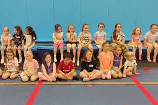 Historic Wicklow gymnastics club launches fundraising drive for new  equipment