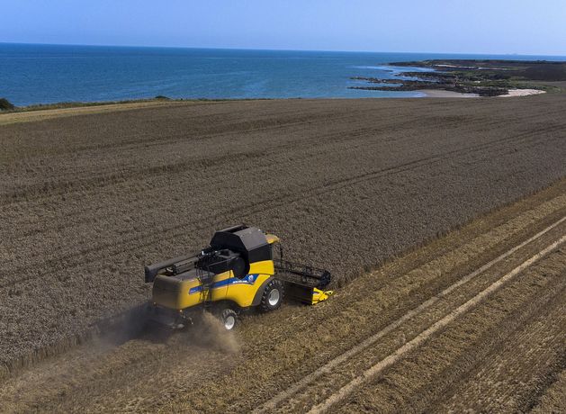 How to make up the lost ground of unsown autumn crops | Irish Independent