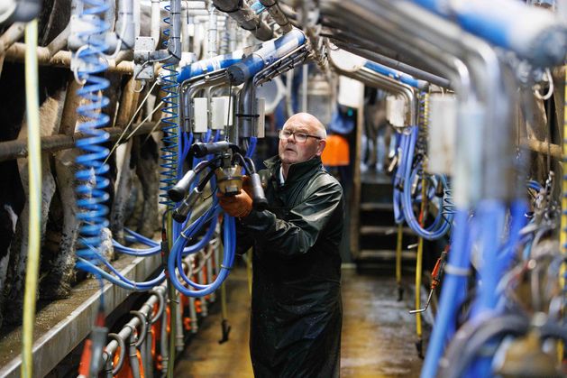 Why making ice cream and opening a farm cafe was the best decision this dairy family in Clare ever made