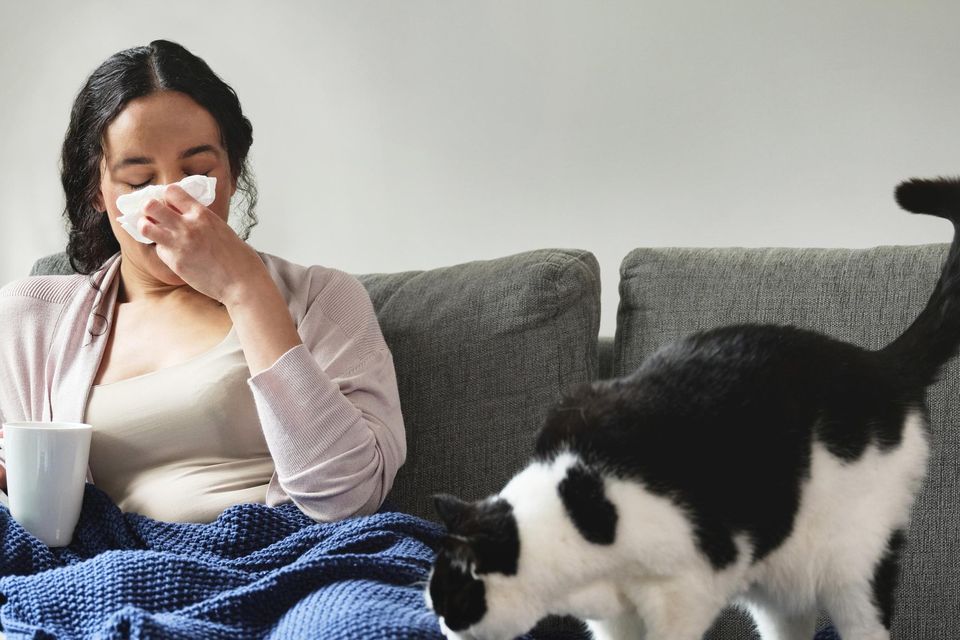 It’s important to confirm the allergy with a skin-prick test as it could be something else. Photo: Picture posed/Getty Images