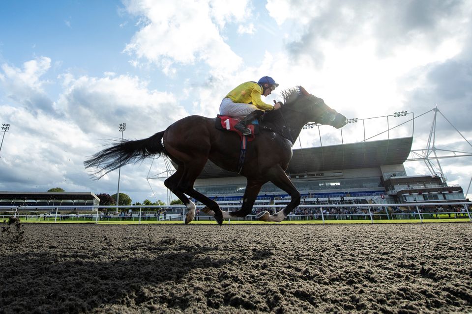 Dubai Warrior can score at Chelmsford today