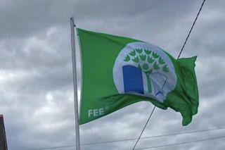 Delight for Wexford school as first Green Flag is raised | Irish ...