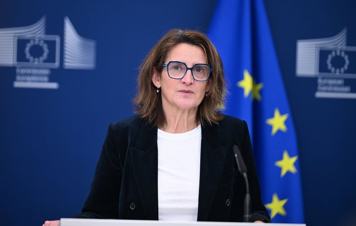 EU mulls forcing Meta to open WhatsApp to AI rivals