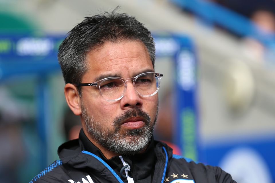 David Wagner said he was not interested in the Leicester vacancy