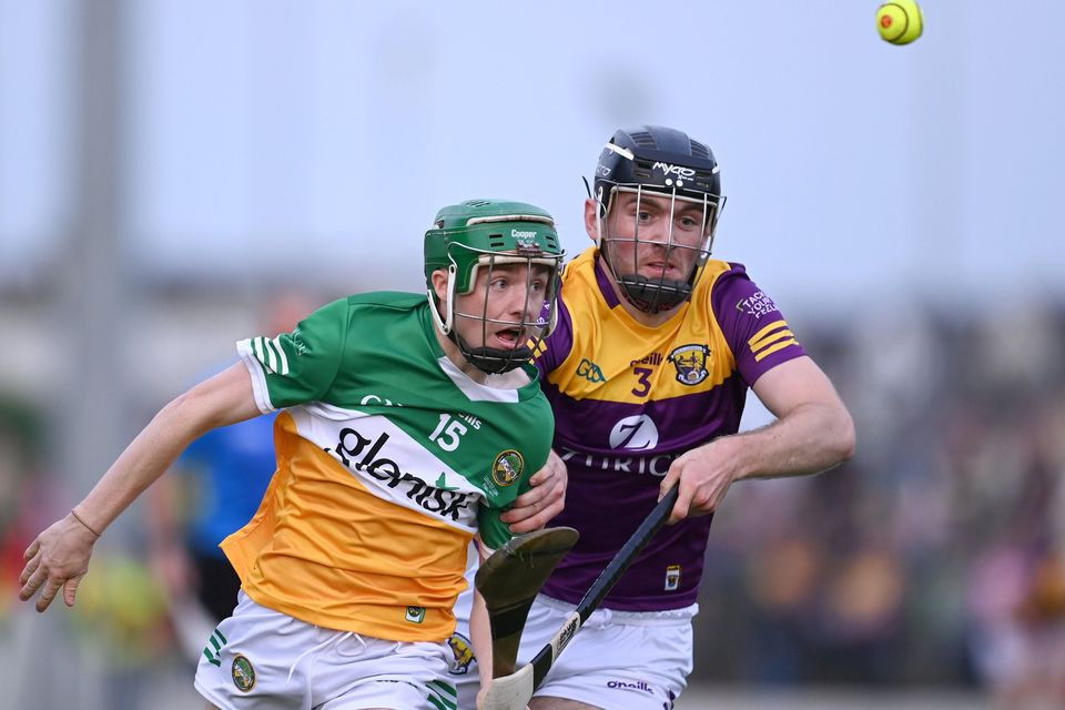 Wexford's Eoin Whelan is a doubt for the match against Dublin.