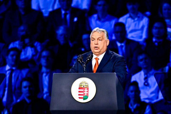 ‘I am at your service,’ Viktor Orban promised Vladimir Putin in leaked phone call