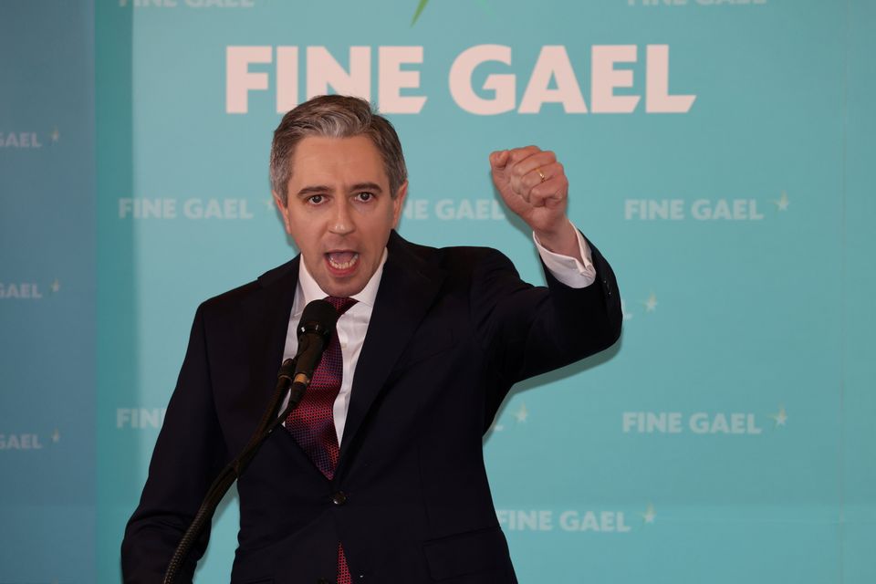 New Taoiseach Simon Harris addressing party members at the Sheraton Athlone. Photo: RollingNews.ie