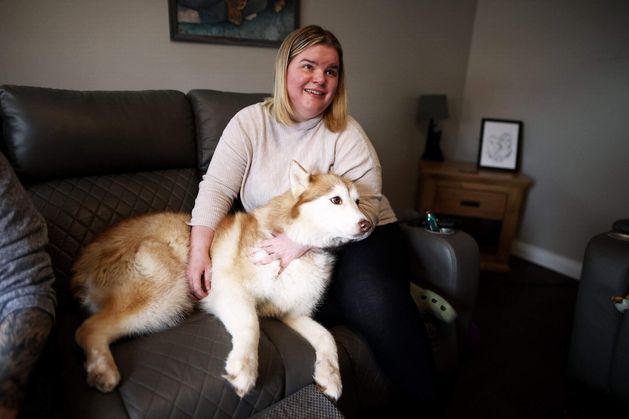 From rescue dog to global star: How Belfast Husky Foxy’s dinner-time strop charmed the internet