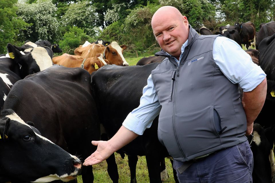 Hopeful: Cavan bovine breeding specialist Colm Chambers who has been on dialysis for the last four years and is waiting on a kidney transplant. Photos: Lorraine Teevan