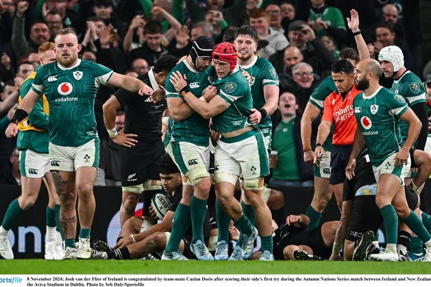 Wicklow man Josh van der Flier on the mark but Ireland lose to All Blacks