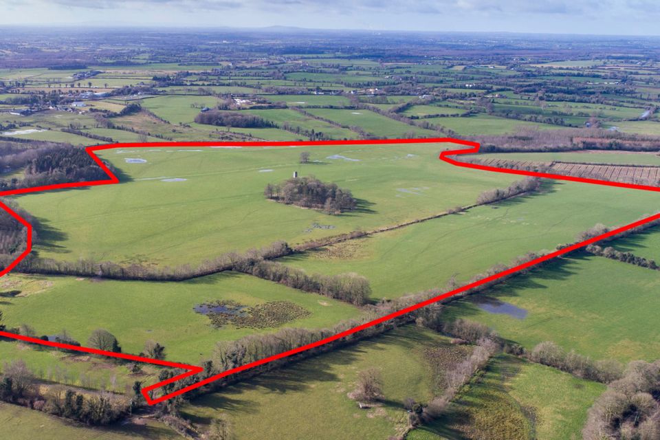 Prime Meath grazing ground for €8,250/ac Irish Independent
