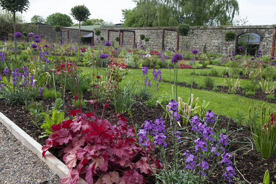 A sea of colour in the walled gardens at Wells House. Pic: Jim Campbell
