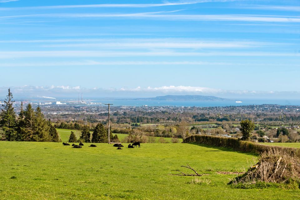 The view from the house