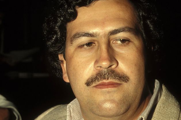 Billionaire’s son offers to save Escobar’s hippos from execution in Colombia