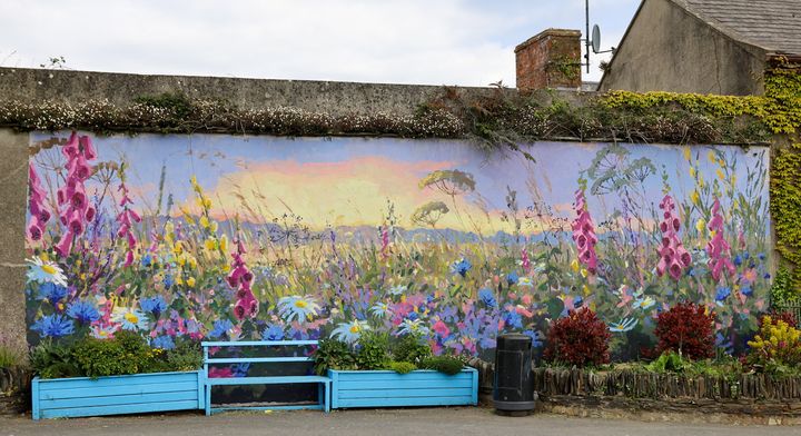New mural painted by Wexford artist is unveiled in rural village – ‘It’s absolutely fabulous’