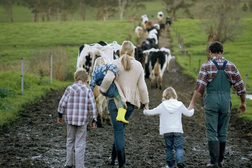 A farm child will see their Confirmation money as seed capital.