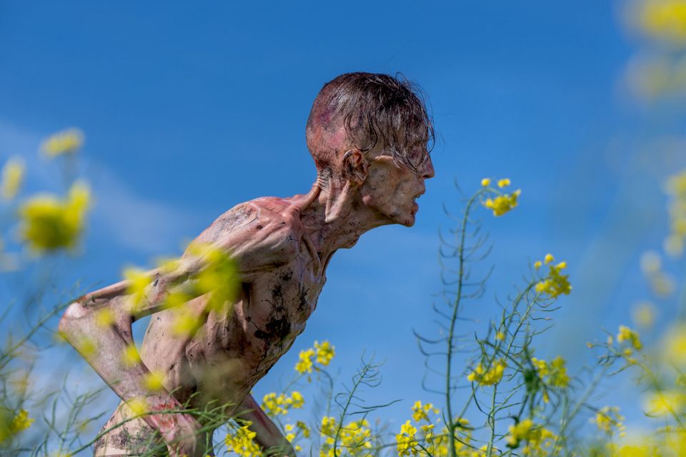'28 Years Later' lacks scare factor. Photo: Miya Mizuno