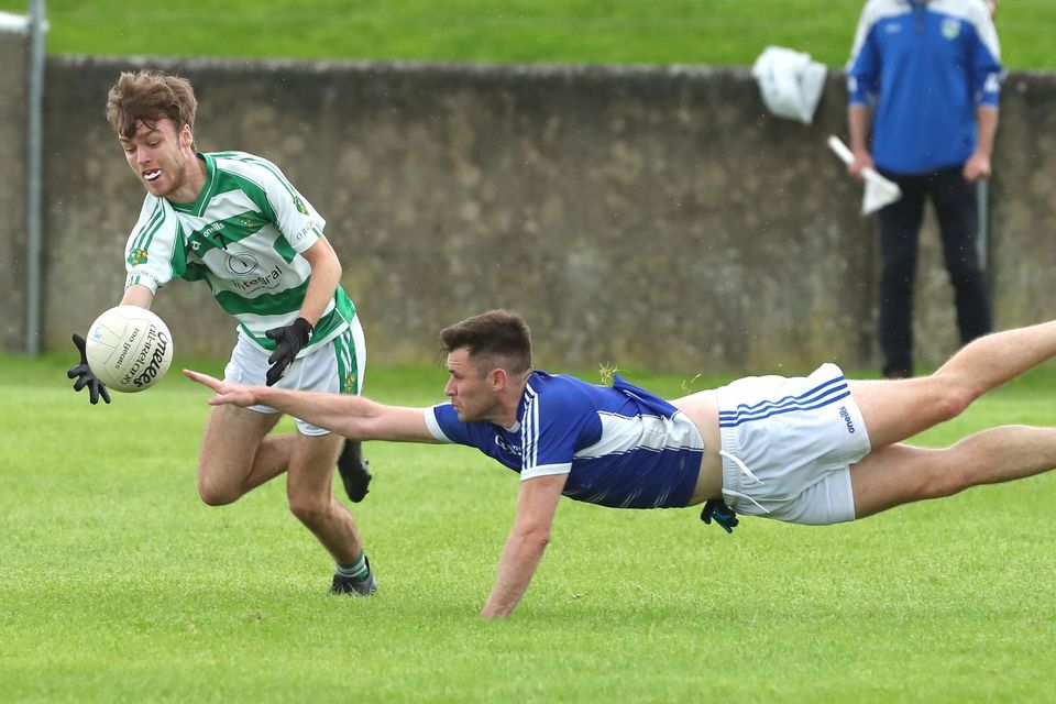 LOUTH GAA | Hollywood Developments Division 2 round-up | Irish Independent